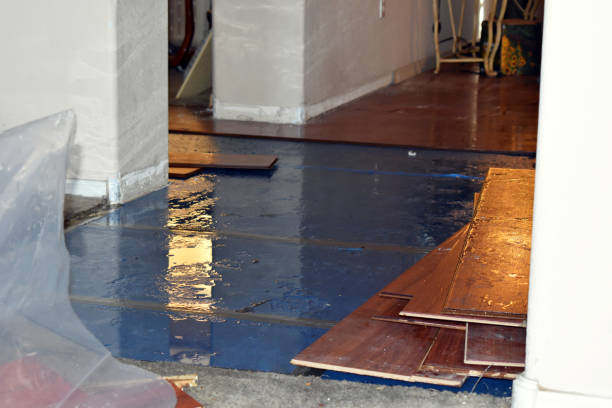 Professional Burst Pipe Cleanup technician working in Evans City, PA